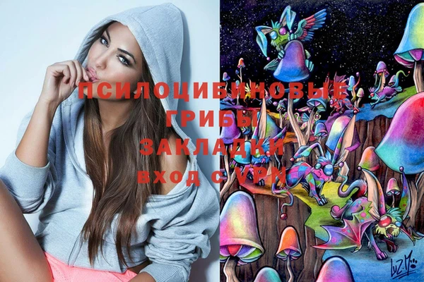 тгк Белокуриха