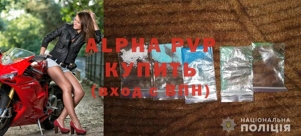 прущий лед Богданович