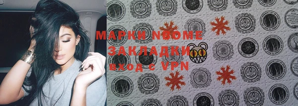 прущий лед Богданович