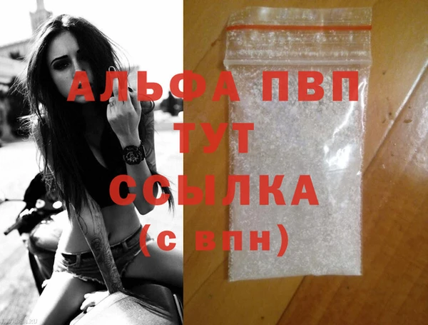 индика Зеленодольск