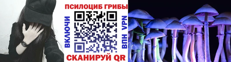 Псилоцибиновые грибы Magic Shrooms  Бобров 