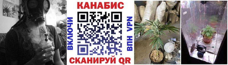 Бошки Шишки OG Kush Бобров